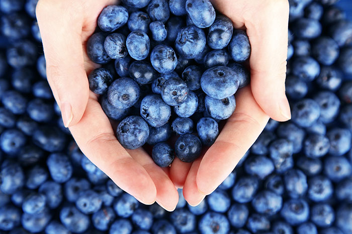 Hands holding blueberries