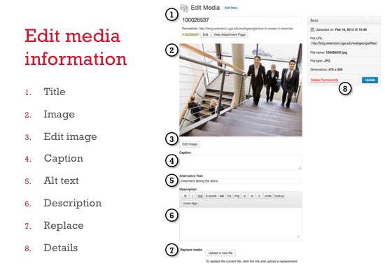 Edit media information in WordPress