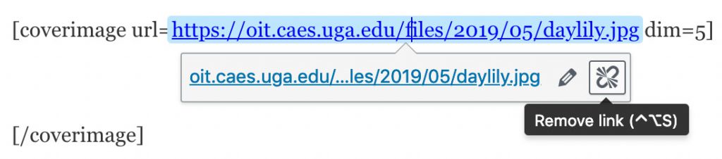 Screenshot of removing hyperlink from shortcode link