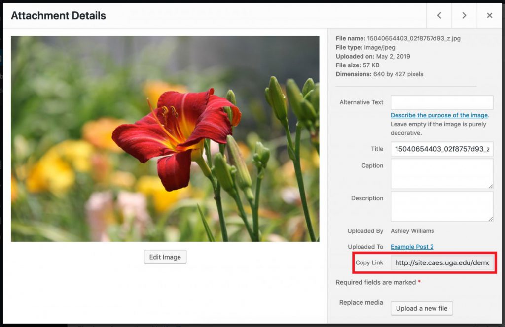 Attachment details screen with Copy Link option highlighted