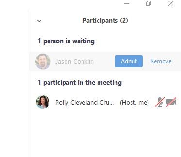 PIcture showing the Admit button, which must be clicked to allow a student to enter the online meeting.