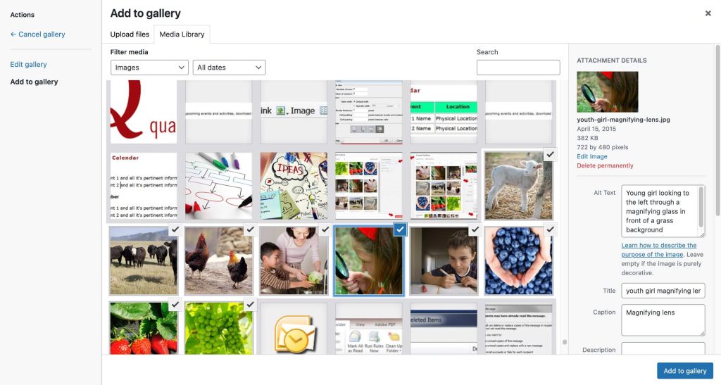 WordPress' "Add to gallery" screen. Several thumbnails of images are loaded, with some selected with checkmarks. Current selected image has settings on right of screen for alt text, title, caption. Add to gallery button is in the lower left hand corner.
