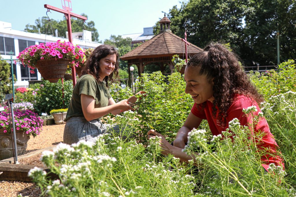 Two students working in a garden at the University of Georgia Trial Gardens.