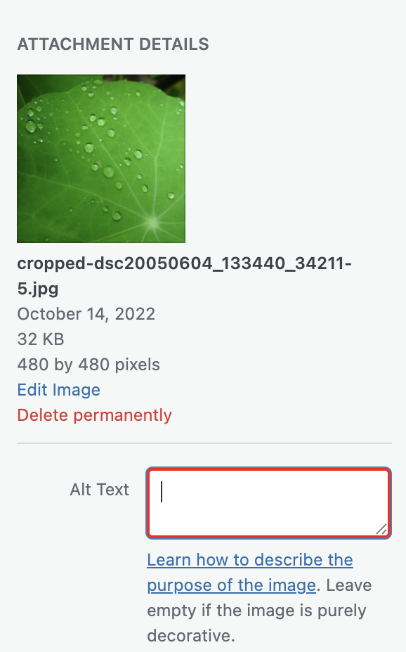 The alt text field is highlighted in red.