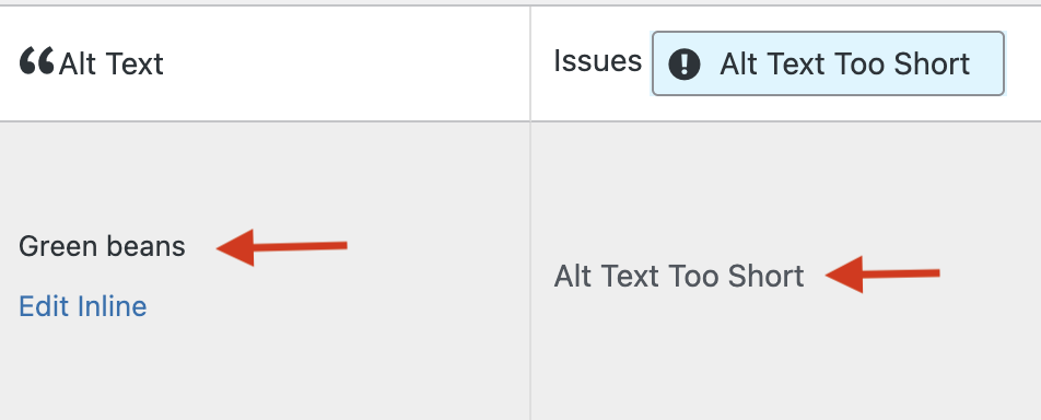 The alt text field contains "green beans: as the alt text. The issues column states "alt text too short".