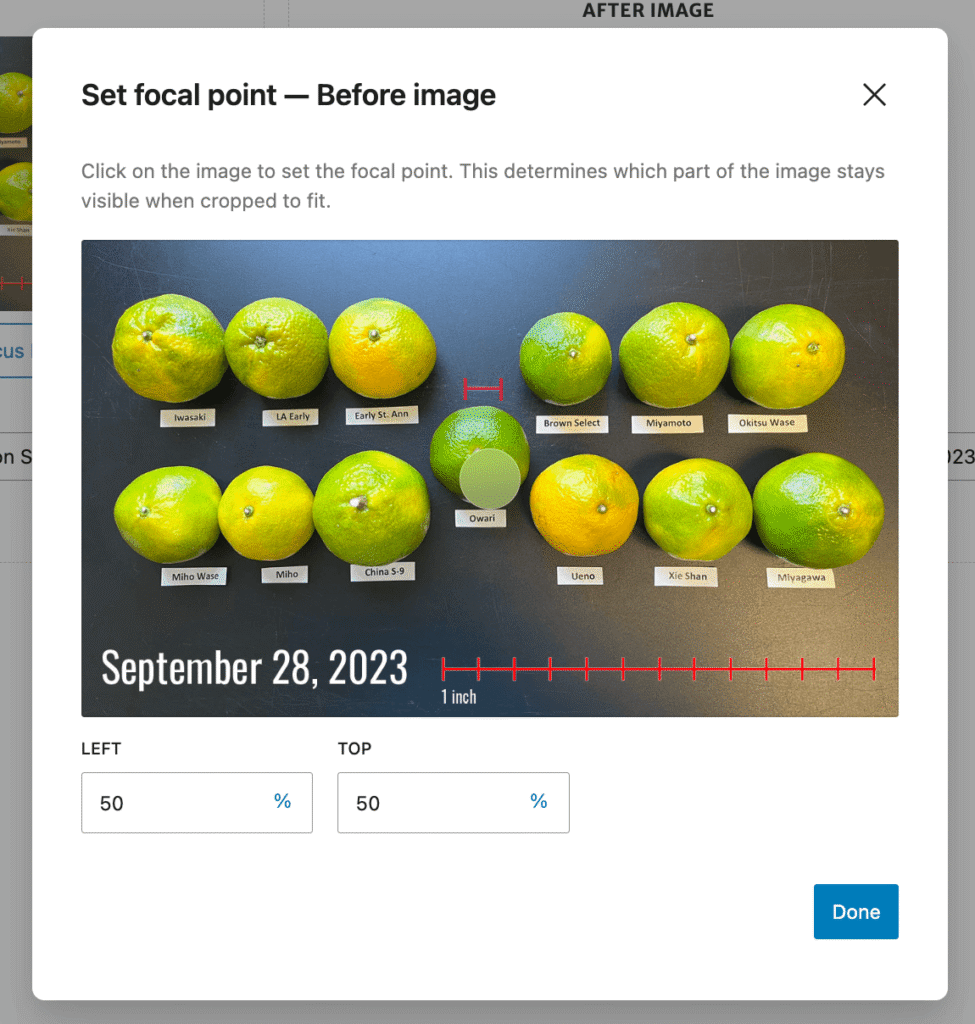 The Set Focal Point dialog open over the Before image. Instructions at the top read, "Click on the image to set the focal point. This determines which part of the image stays visible when cropped to fit." A round marker sits on the photo, and the Left and Top fields below both show 50 percent, next to a Done button.