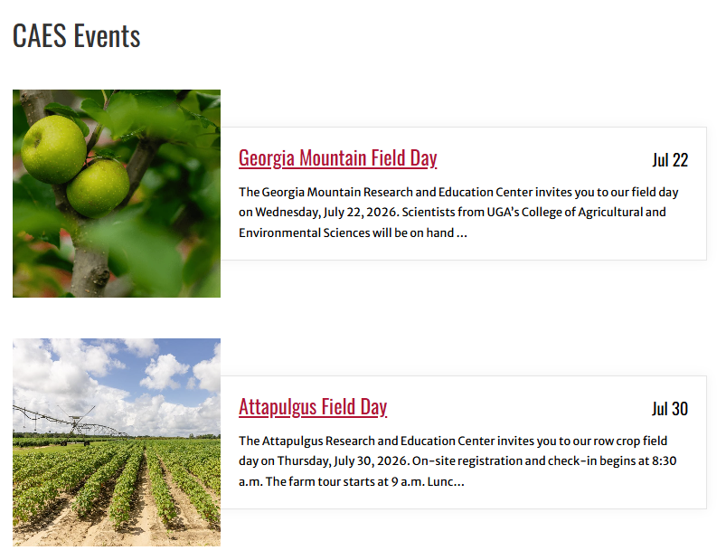 Example of CAES Events list on your site's public page