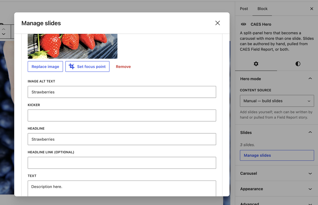 Screenshot of Manage slides panel.