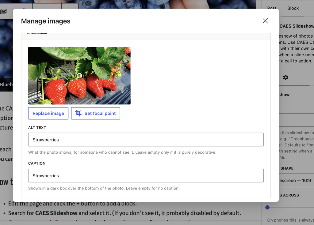 Screenshot of manage images panel.