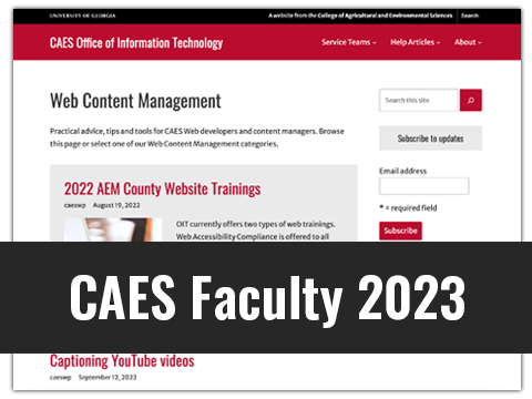 CAES Faculty 2023 Theme